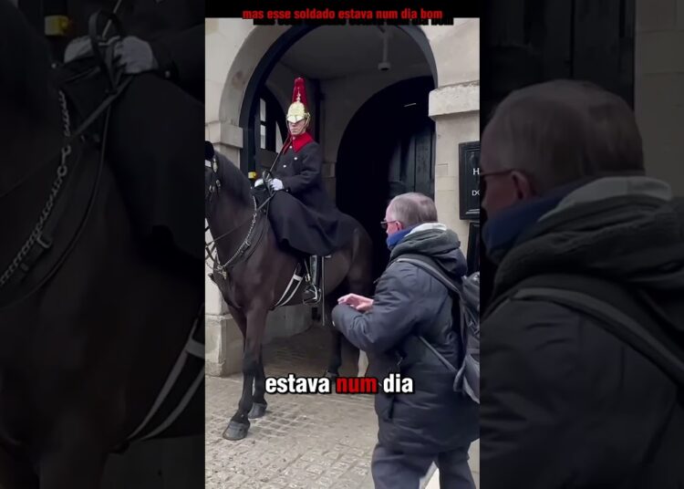 UM GUARDA DA REALEZA!!! #britanico #viralshort #guard #military #entertainment