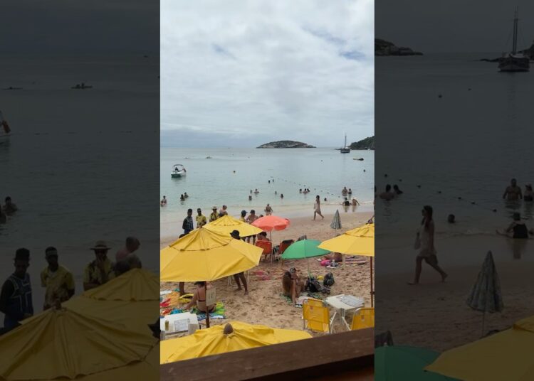 Vista do Mirante João Fernandes em Búzios Bar #shorts #buzios #brasil