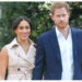 5 anos depois de deixar os deveres reais: Meghan Markle a ascensão à fama deixou o príncipe Harry 'subempregado'?