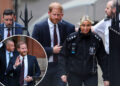 A vida do príncipe Harry em jogo após a remoção da proteção policial do Reino Unido, financiada por contribuintes, ouve o tribunal