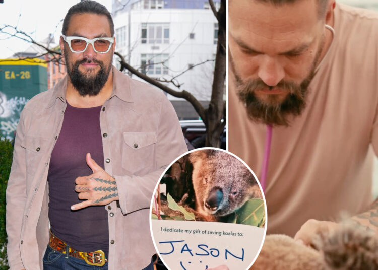 Jason Momoa se aproxima, pessoal com coala adorável no Wildlife Sanctuary