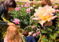 Meghan Markle compartilha fotos raras de Archie, Lilibet em Garden, depois de revelar o sotaque americano da filha