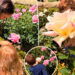 Meghan Markle compartilha fotos raras de Archie, Lilibet em Garden, depois de revelar o sotaque americano da filha