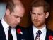 Príncipe William e príncipe Harry .jpg