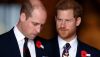 Príncipe William e príncipe Harry .jpg