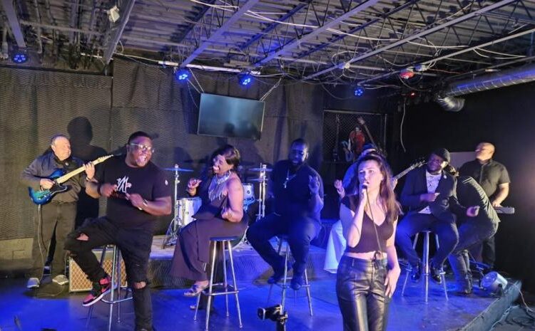 Novo projeto musical "Colaborações" une artistas indie