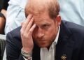 O mundo do príncipe Harry está caindo - espero que ele tenha um amigo no final disso | Real | Notícias