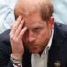 O mundo do príncipe Harry está caindo - espero que ele tenha um amigo no final disso | Real | Notícias