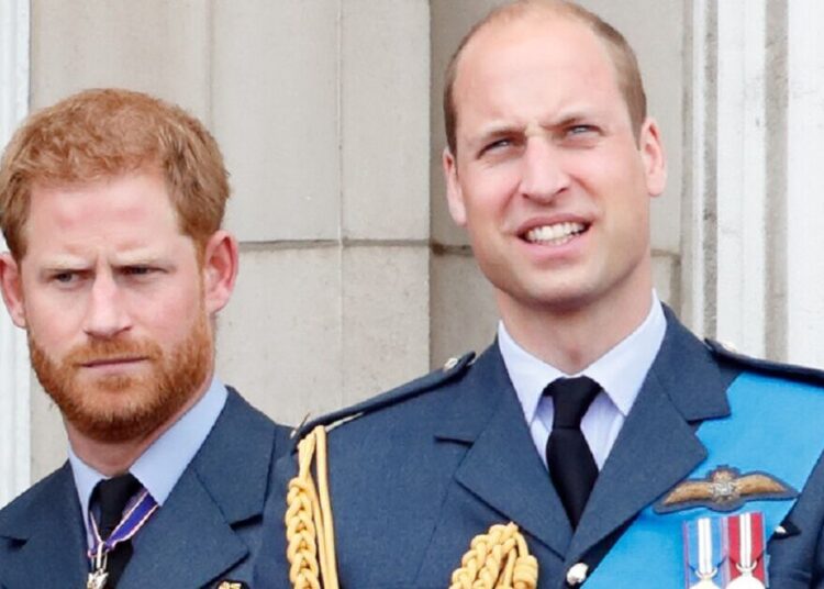 O príncipe Harry mostra cores verdadeiras com brutal escavação de 13 palavras no príncipe William | Real | Notícias