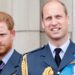 O príncipe Harry mostra cores verdadeiras com brutal escavação de 13 palavras no príncipe William | Real | Notícias