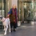 O que Bill Murray aprendeu com Bing, sua co-estrela de 4 pernas em 'The Friend'