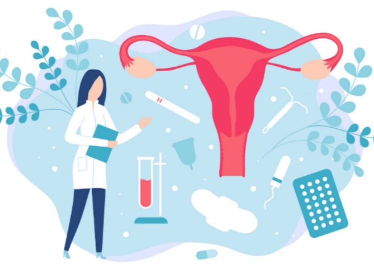 Ciclo menstrual