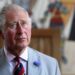 O rei Charles em 'Uncharted Waters' como Camilla 'quer que ele diminua a velocidade' | Real | Notícias