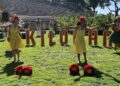 O show de Kilohana Hula grátis termina sua corrida em Waikiki