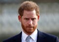 Príncipe Harry 'Lamenta' perdendo fiel amigo real após revés