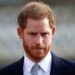Príncipe Harry 'Lamenta' perdendo fiel amigo real após revés