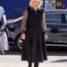 Rainha Camilla vista pela primeira vez desde a admissão do King Charles Hospital