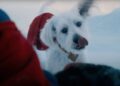 Superman é salvo por seu cachorro Krypto e Robots Caped em New James Gunn Trailer