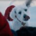 Superman é salvo por seu cachorro Krypto e Robots Caped em New James Gunn Trailer