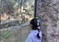 Zoológicos em evolução da China, do entretenimento à educação
