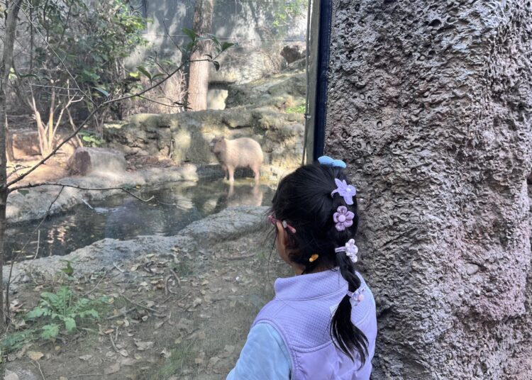 Zoológicos em evolução da China, do entretenimento à educação