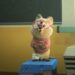 Zootopia 2 Fotos revelam novo personagem interpretado por Quinta Brunson
