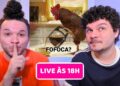 🔴 AO VIVO: fofocas da internet