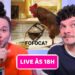 🔴 AO VIVO: fofocas da internet