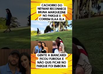 Cachorro de Neymar reconhece Bruna Marquezine #fofocas