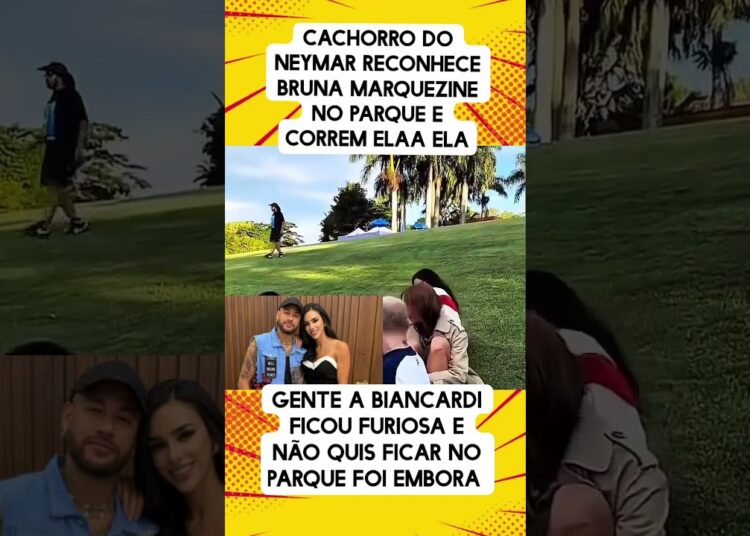 Cachorro de Neymar reconhece Bruna Marquezine #fofocas