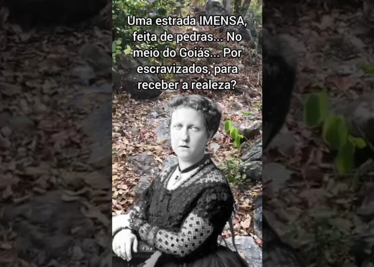 UMA ESTRADA FEITA PELOS ESCRAVIZADOS PARA A REALEZA? #history #goiás #historia
