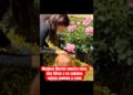 #meghanmarkle mostra fotos dos filhos e os cabelos ruivos roubam a cena  #realezabritanica #noticias