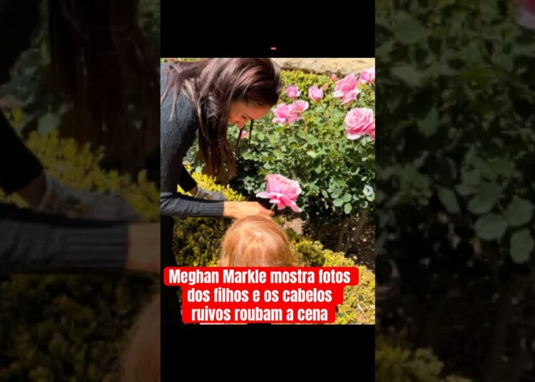 #meghanmarkle mostra fotos dos filhos e os cabelos ruivos roubam a cena  #realezabritanica #noticias