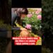 #meghanmarkle mostra fotos dos filhos e os cabelos ruivos roubam a cena  #realezabritanica #noticias