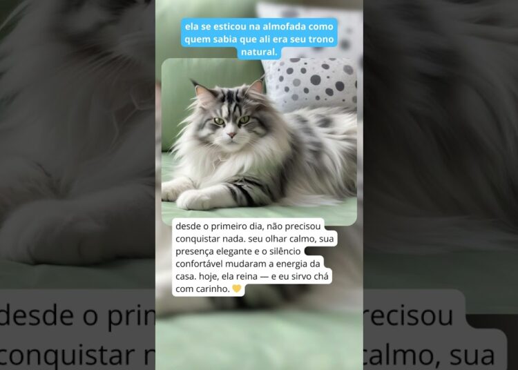 ela nem pediu licença — só deitou e virou realeza #shorts