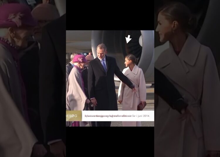 😌when king Felipe egnore queen Letizia and walking with other queen ❤️#royal