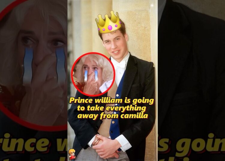 Prince william is going to take everything away from camilla.#shorts #celebrity  #royal #king #usa