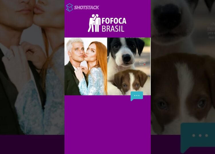 Famosos Resgatam Oito Filhotes em Ação Comovente; Descubra a História!
