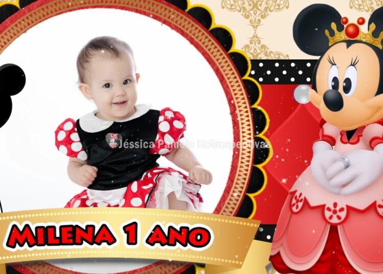 Retrospectiva Minnie Realeza