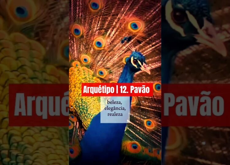 Arquétipo | 12. Pavão #beleza #elegância #realeza #exuberância #presença #destaque #criatividade #12