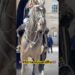 Young Soldier of the blues and royals #shorts #india #foryou #tourist #history #trending #viralvideo