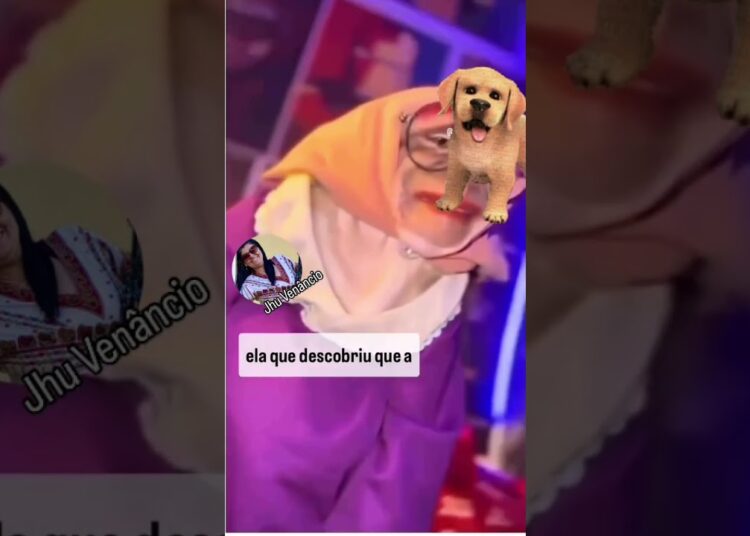 Fofocas no mundo animal #fofoca #fofocas #animalshorts #animal #animals #bichos