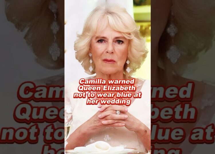 Camilla warned Queen Elizabeth not to wear blue at her wedding #camilla #elizabeth #royal