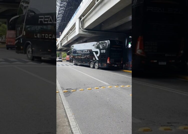 Realeza Bus 1810 #shorts