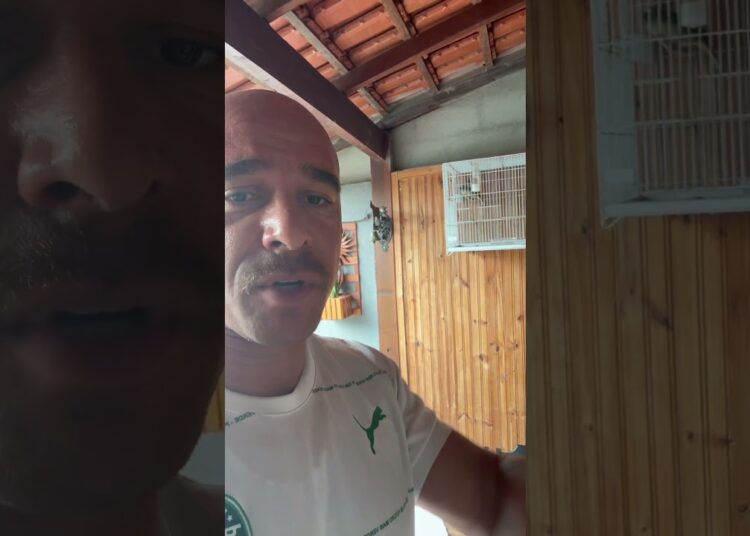 Filhote de Trinca Ferro! Realeza neto, genética de 200 cantos #passarinho #aves #trincaferro
