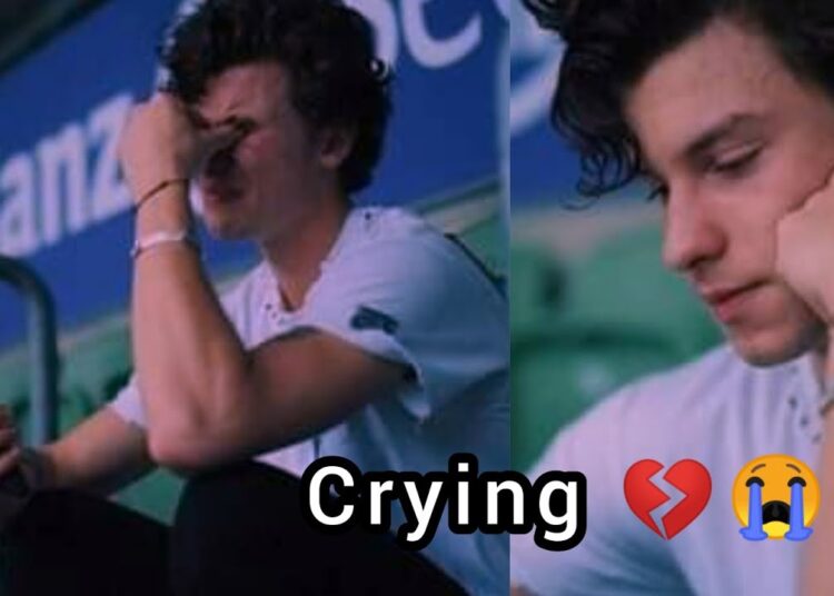 Shawn Mendes crying 😭💔 #shawnmendes #shawn #cancelconcert #heartbroken #crying #brazil #concert