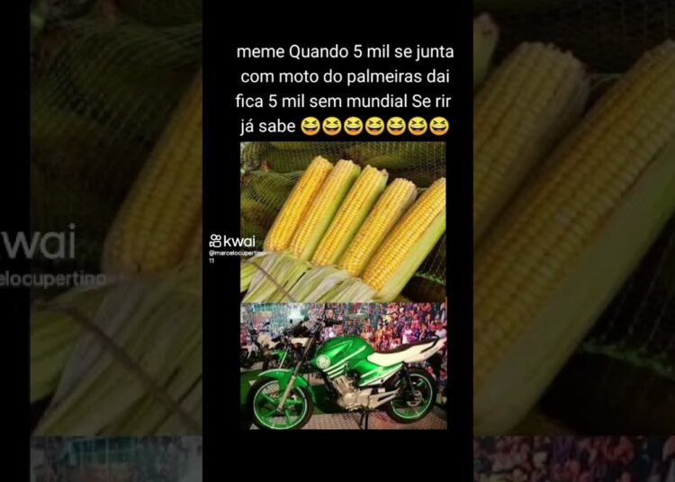 Chupa essa manga sem mundial 😹😹😹 #HUMOR#FOFOCAS#HISTÓRIAS#INFORMAÇÃO