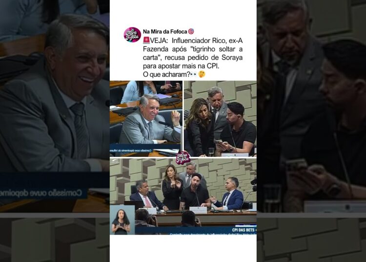 TIGRINHO SOLTOU A CARTA?😂#famosos #fofocas #brasil #engraçado APOSTAS RICO