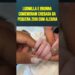 Ludmilla e Brunna comemoram chegada da pequena Zuri com alegria