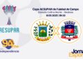 AO VIVO – COPA AESUPAR DE FUTEBOL REALEZA X SALTO DO LONTRA